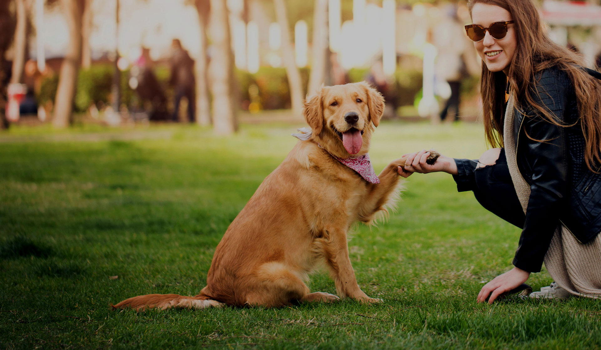 MORE THAN 90% OF DOGS STAY ENGAGED LONGER WITH TREAT'N PLAY TOY