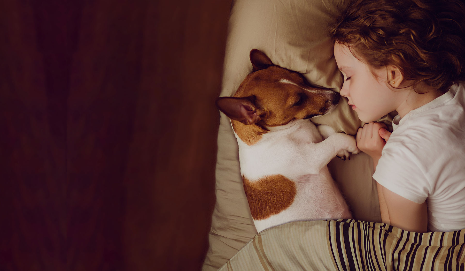 ALL NATURAL GOODNESS FOR YOUR PET